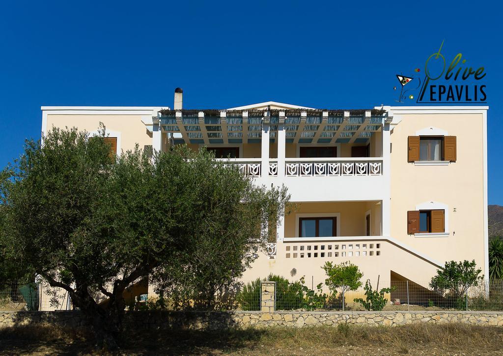 Olive Epavlis Apartment Karpathos Bagian luar foto