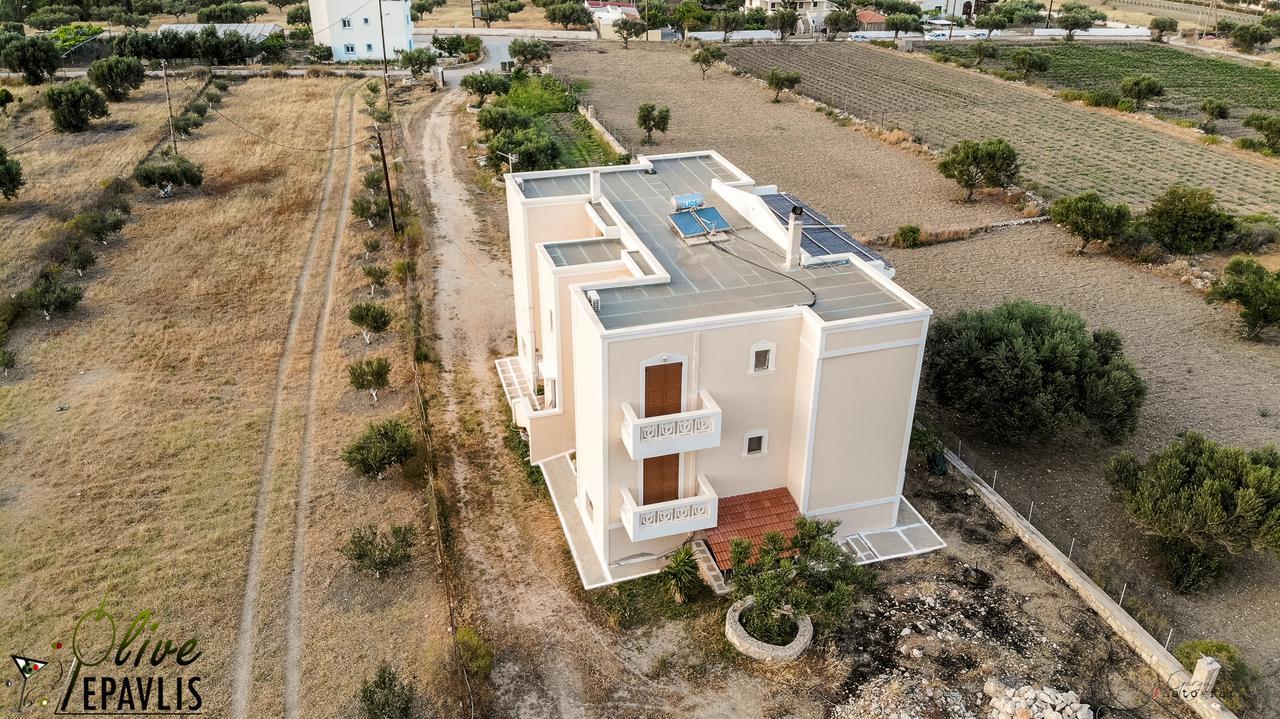 Olive Epavlis Apartment Karpathos Bagian luar foto